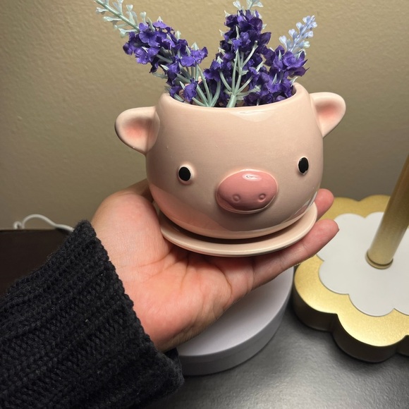 Daiso Other - Ceramic Pig Planter Adorable 4”x4” NWT